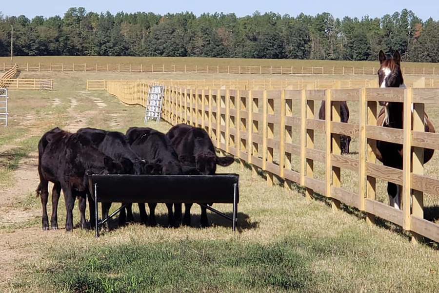 Rolling Hills Ranch Swansea SC