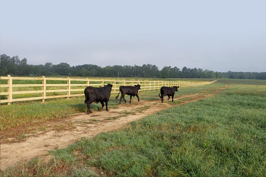 Rolling Hills Ranch Swansea SC