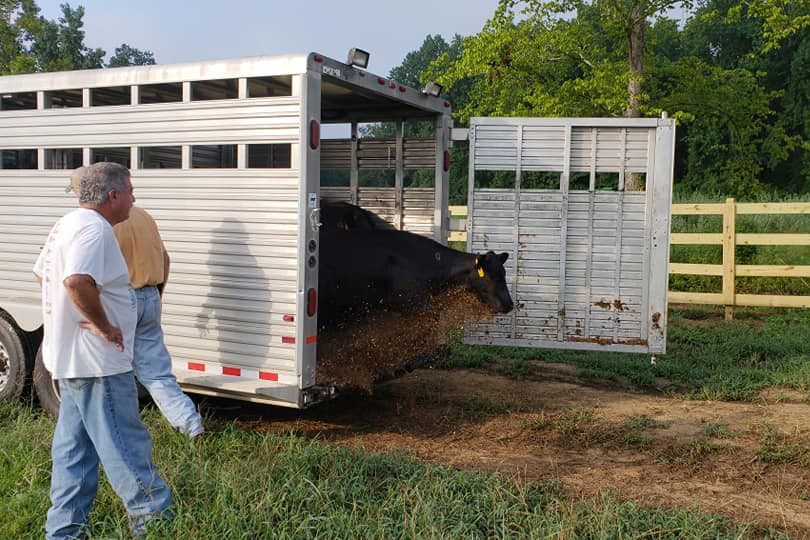 Rolling Hills Ranch Swansea SC
