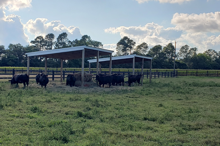 Rolling Hills Ranch Swansea SC