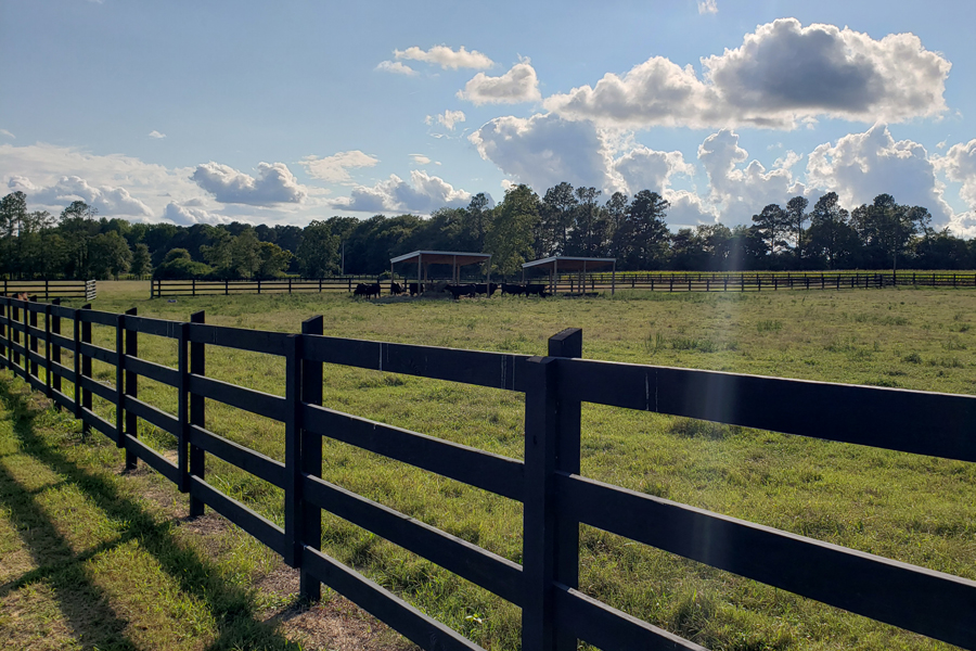 Rolling Hills Ranch Swansea SC