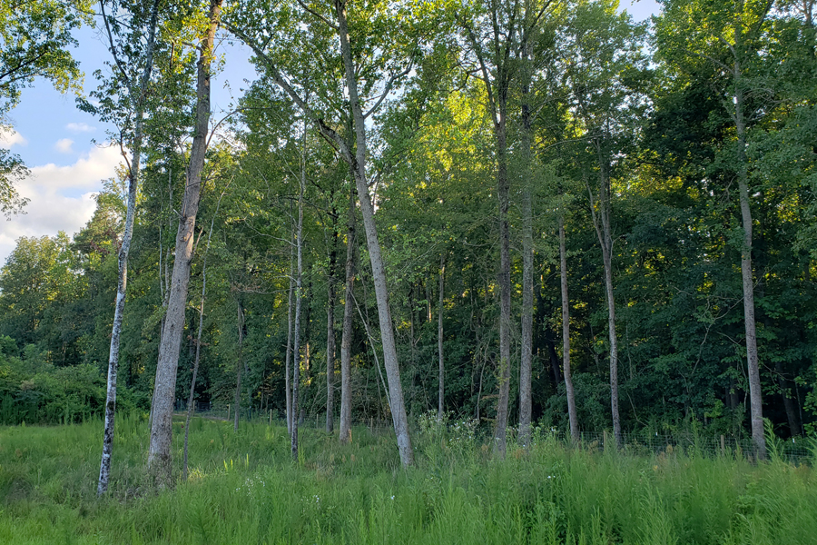 Rolling Hills Ranch Swansea SC