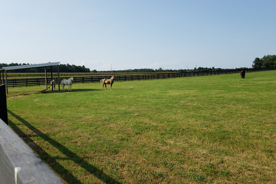 Rolling Hills Ranch Swansea SC