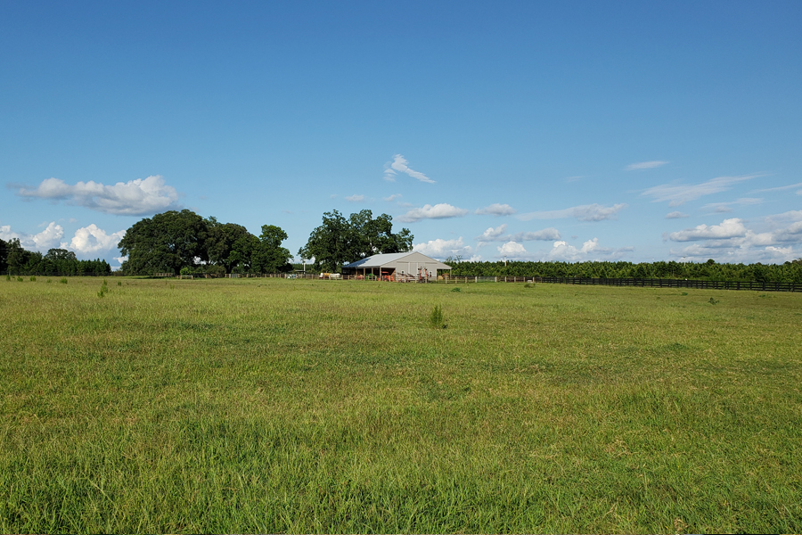 Rolling Hills Ranch Swansea SC