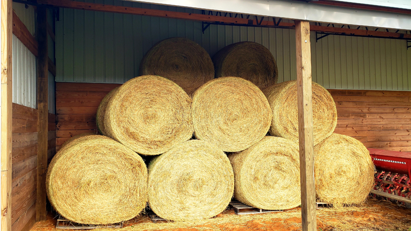 Rolling Hills Ranch Swansea SC