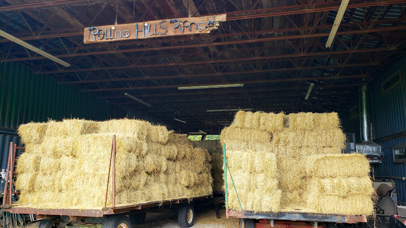 Rolling Hills Ranch Swansea SC